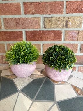 Two Fake Plants with Realistic texture